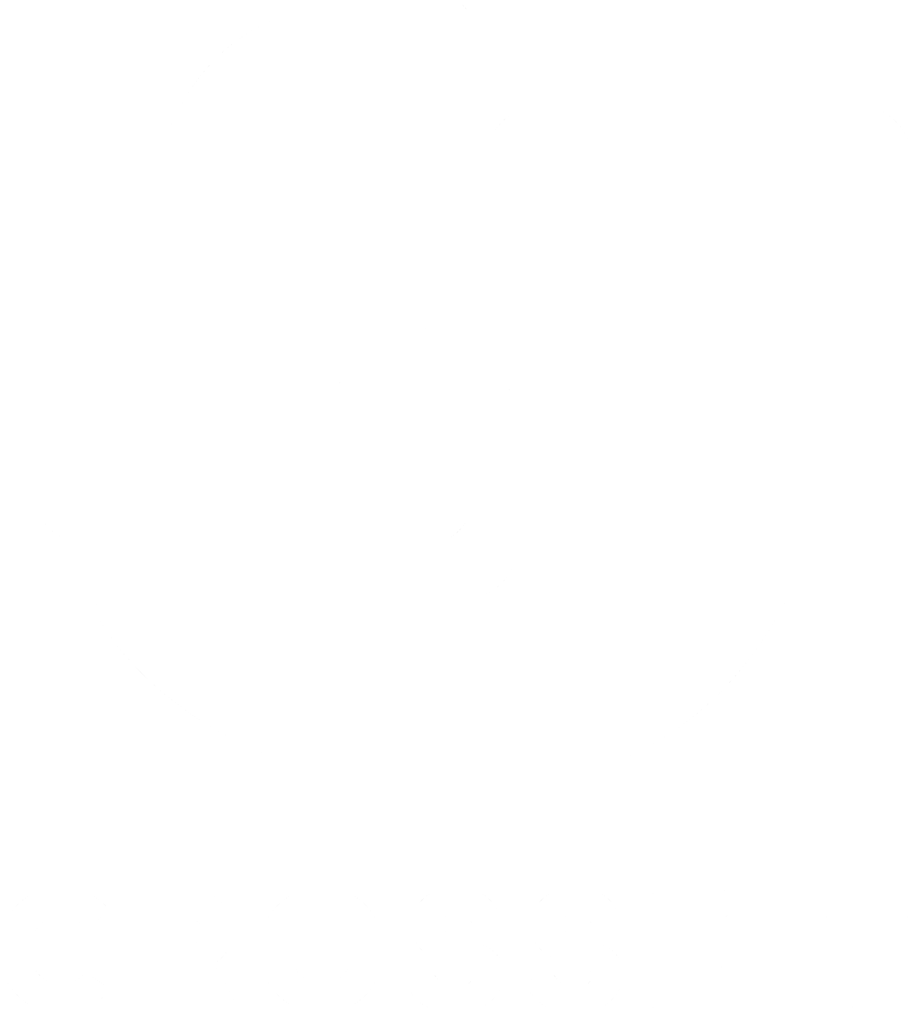 ELJI logo transparent background